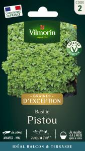 Basilic Pistou - Graines d'Exception